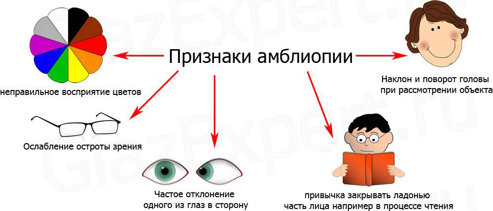 Процент информации получаемый зрением