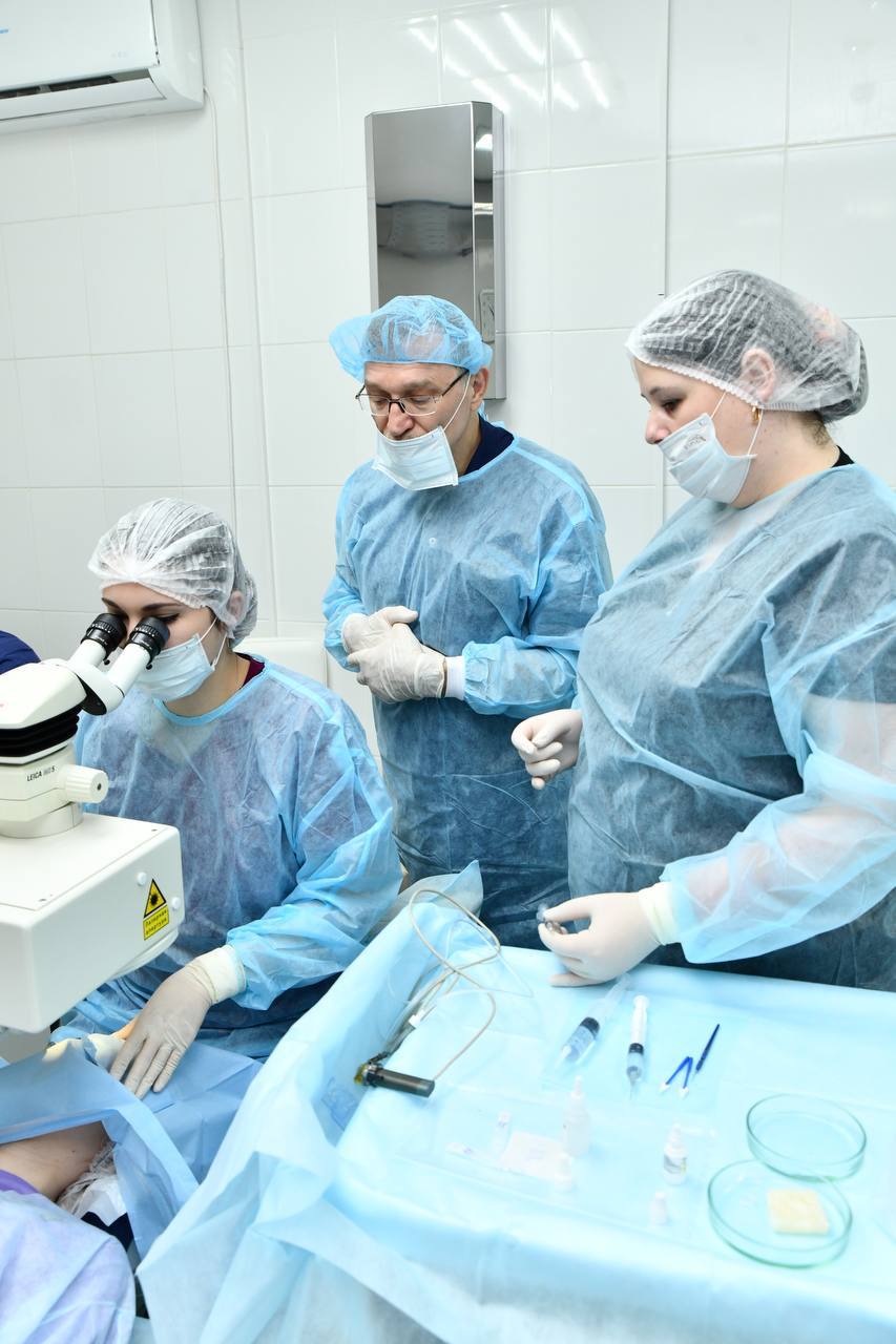 Лечение ячменя